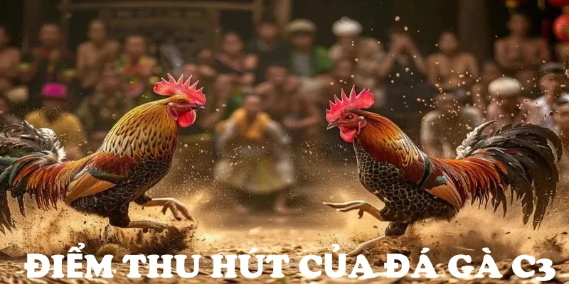 Điểm qua các mặt ưu điểm thu hút sảnh đá gà C3 79King